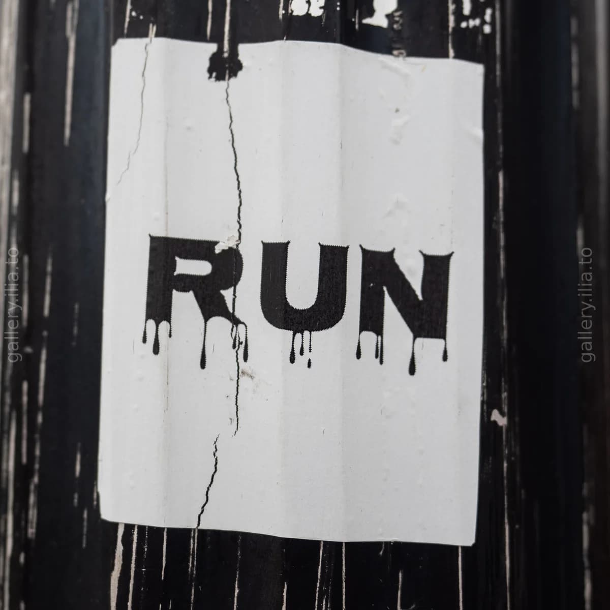 Run!