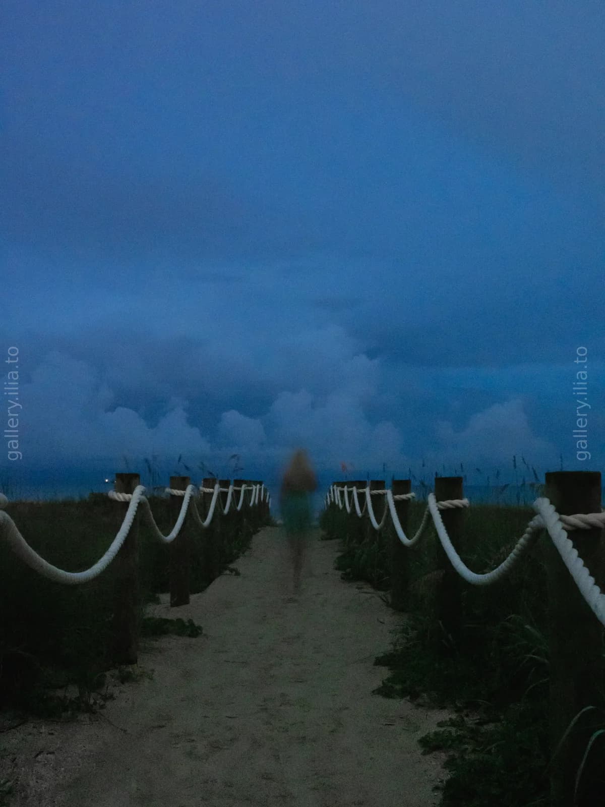 Twilight Crossing