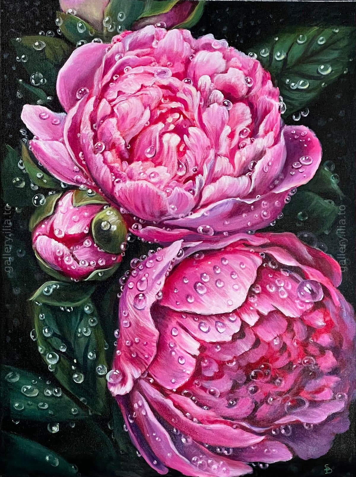 Peony