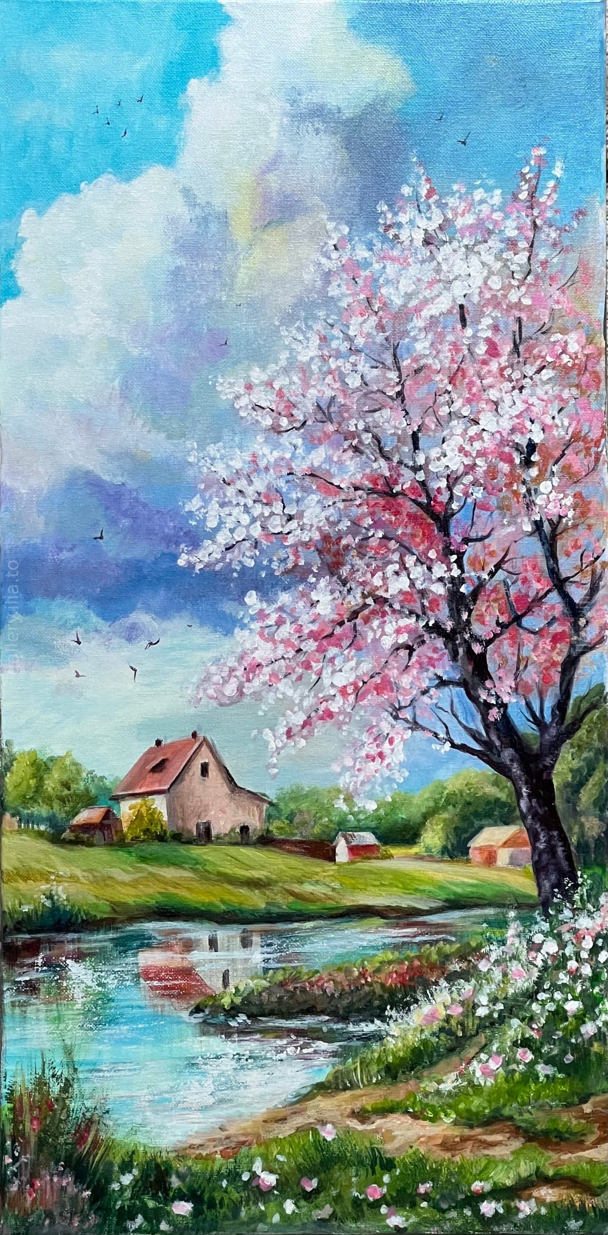 Blossoms by the Pond