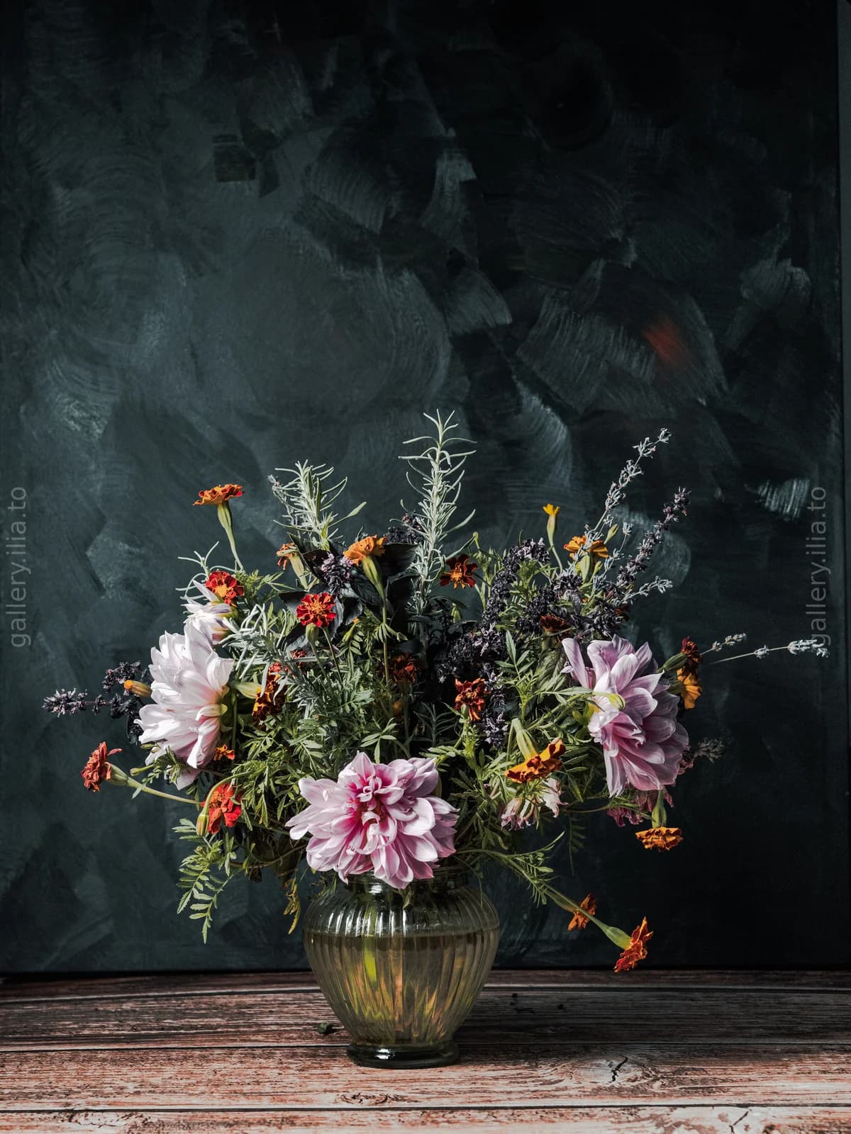 Still Life Against the Dark