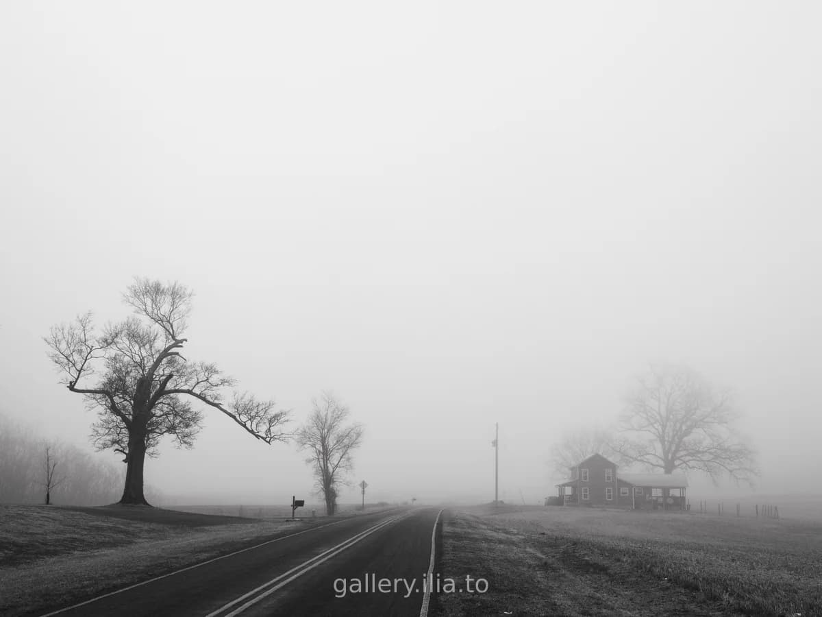 Foggy Morning Road