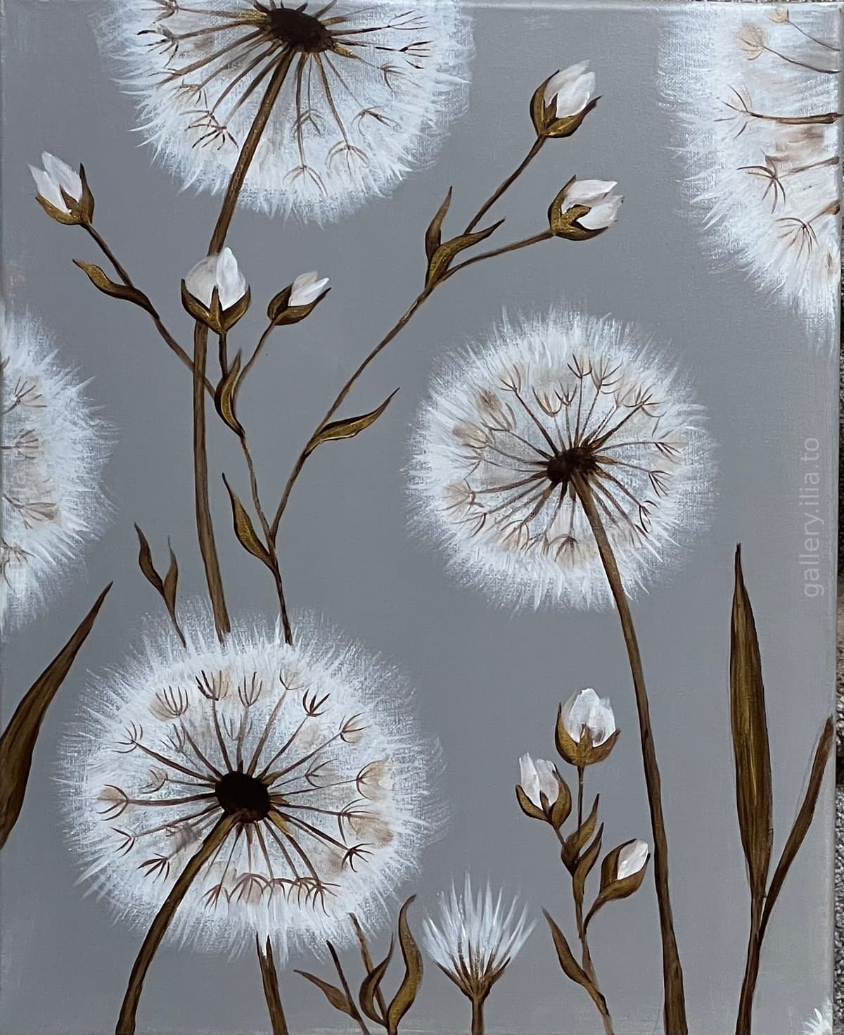 Dandelion Wishes