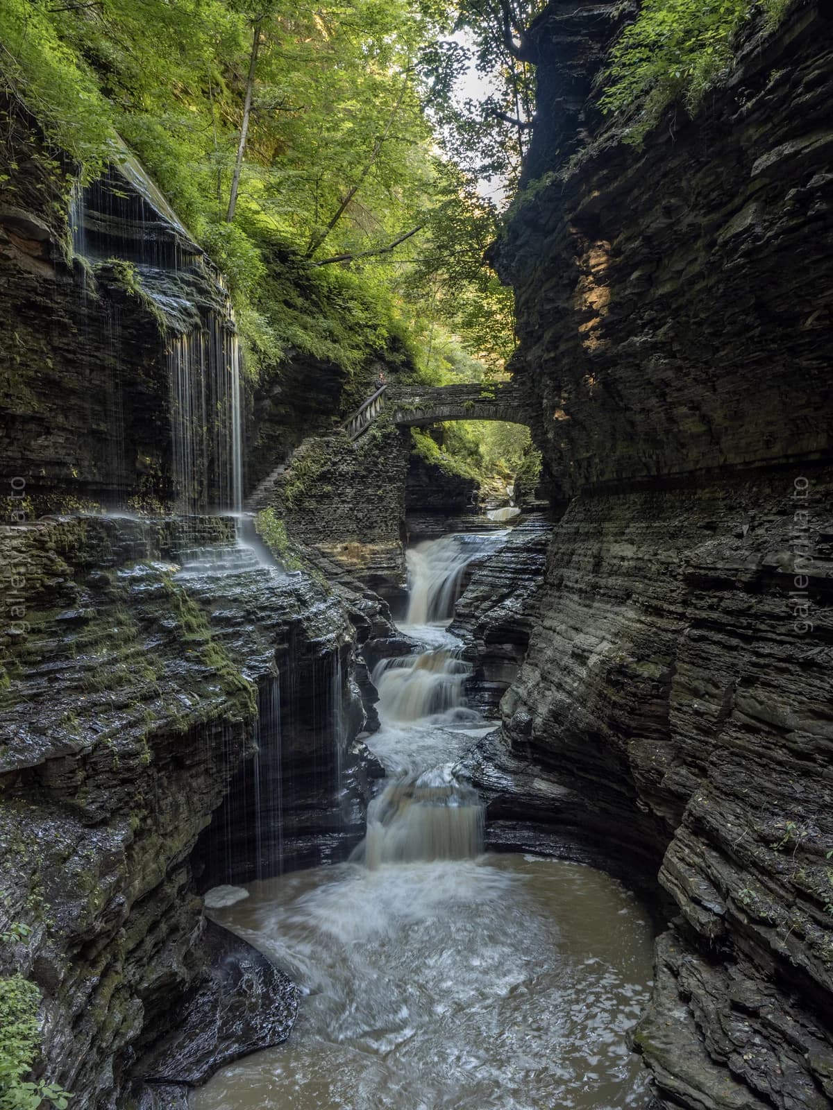 Water Finds a Way / Watkins Glen State Park