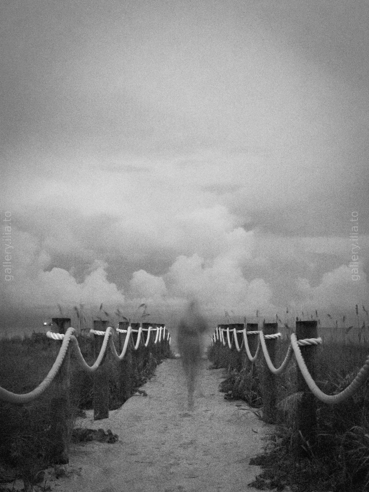 Memories about the ocean