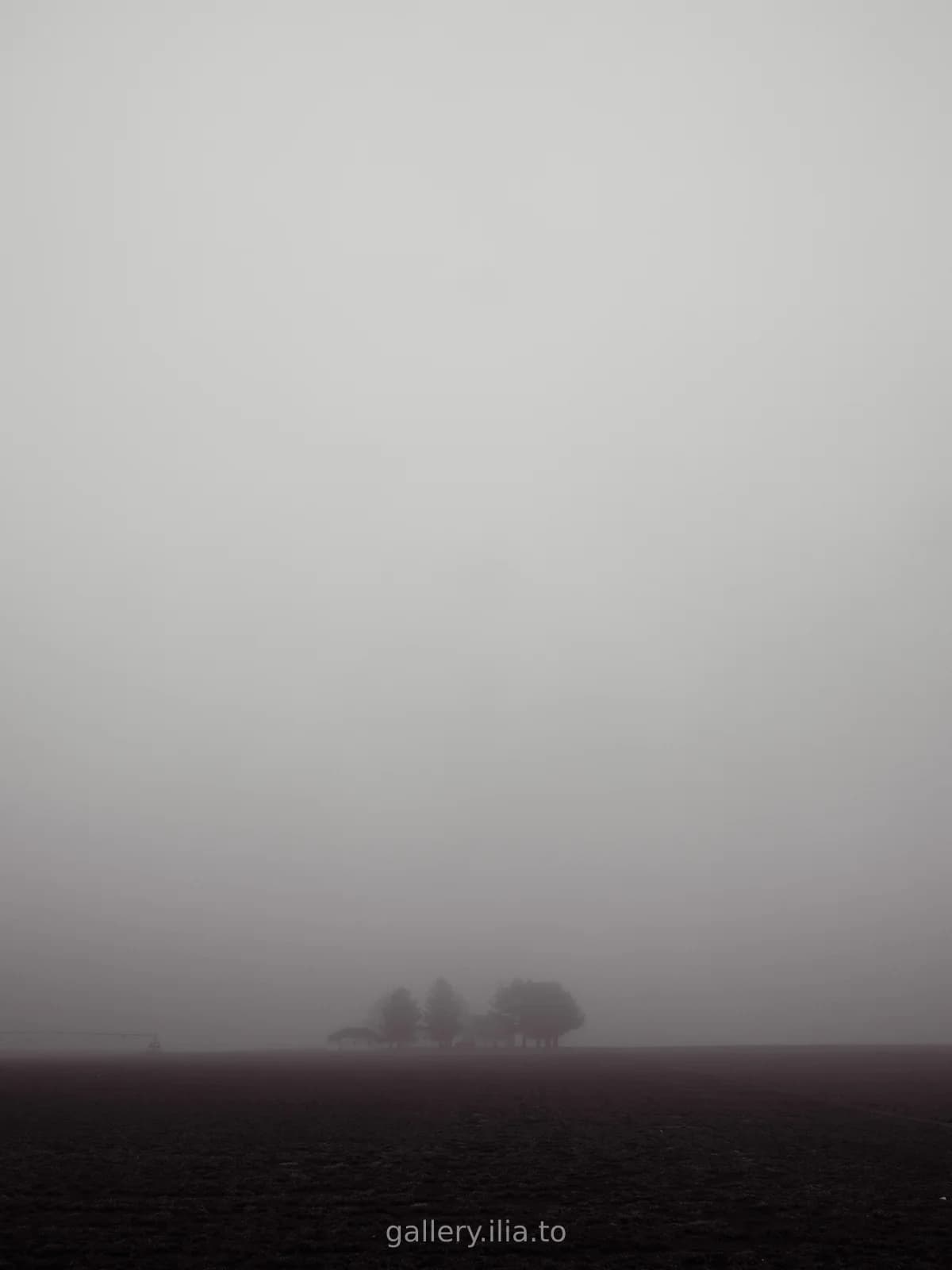 When the World Disappears
