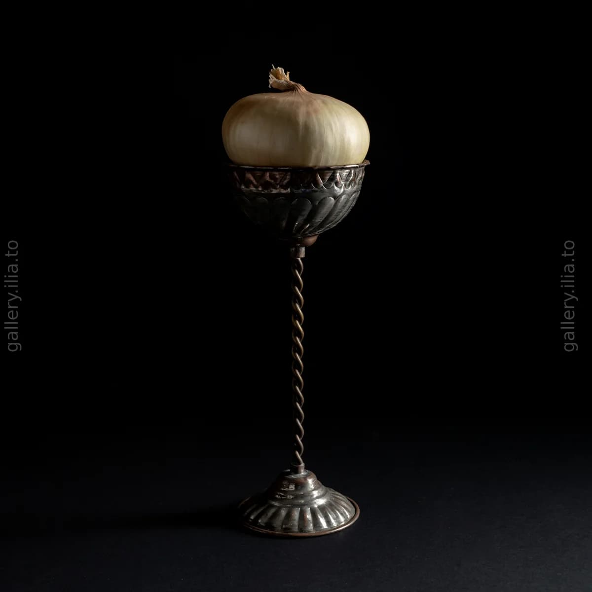 Still Life in Waiting