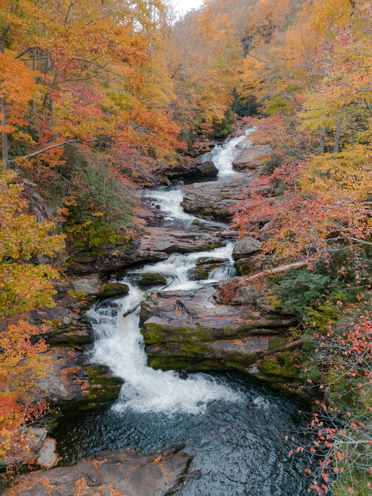 Autumn Gorge Stream