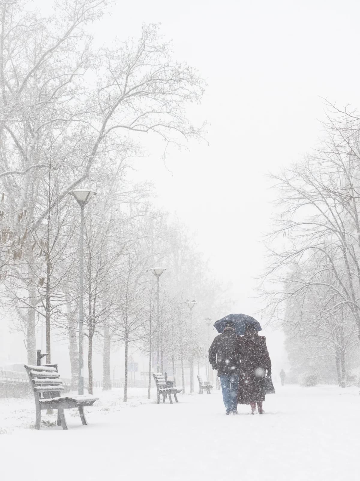 Couple in the Snow