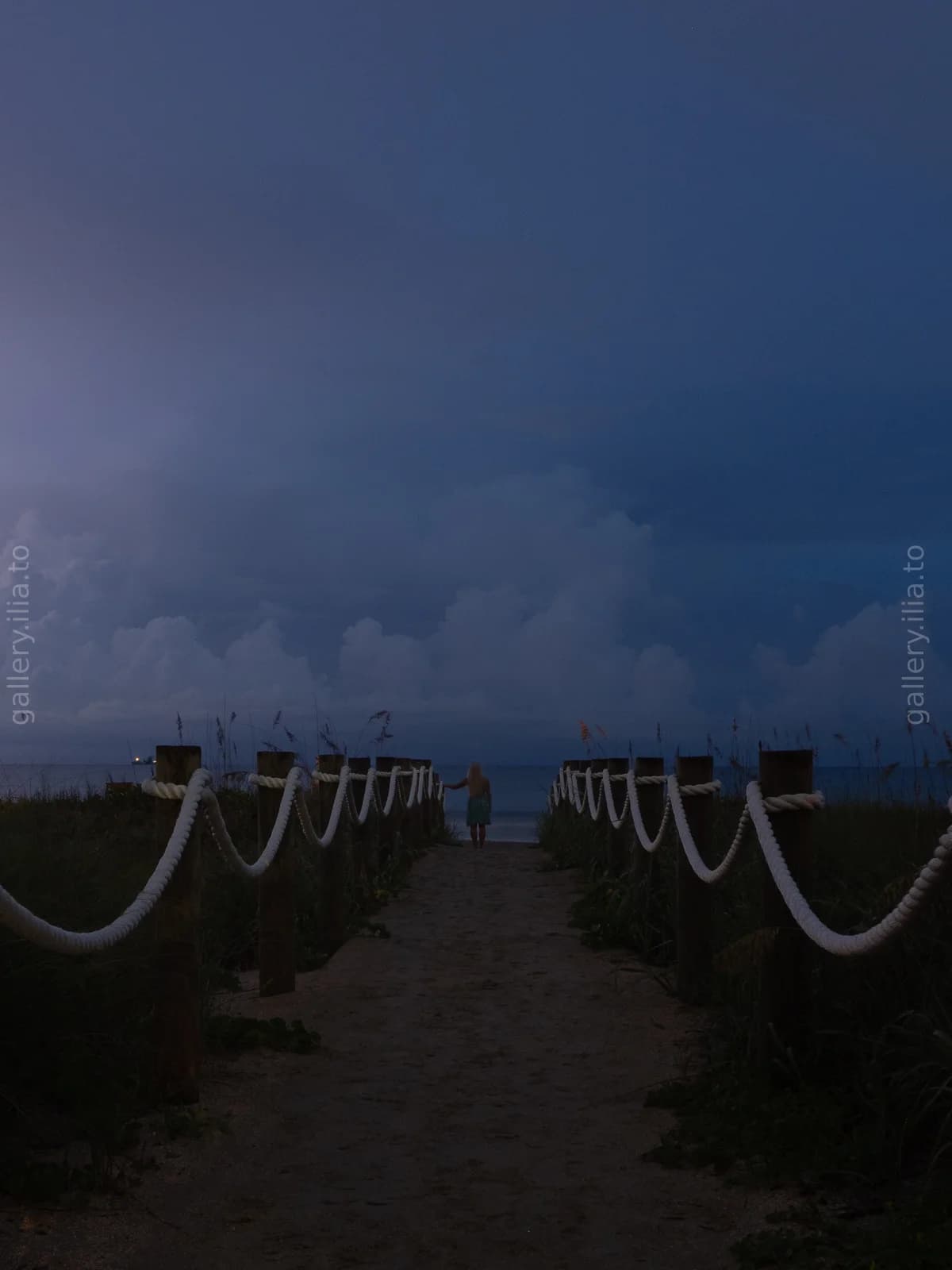 Dusk at the Shore Path