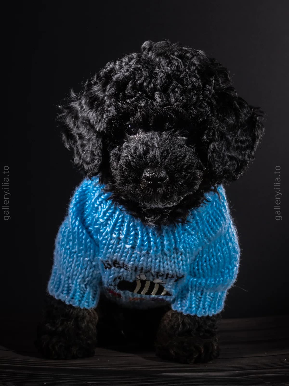Oreo