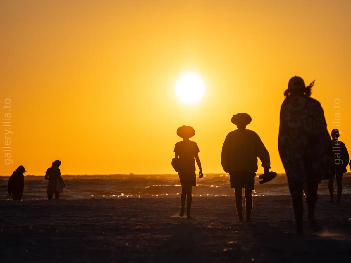 Golden Hour Silhouettes