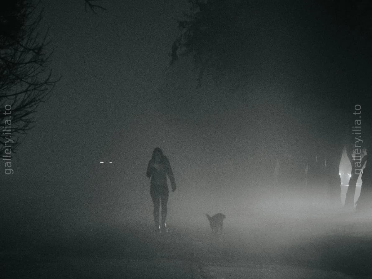 Night Walk in Fog