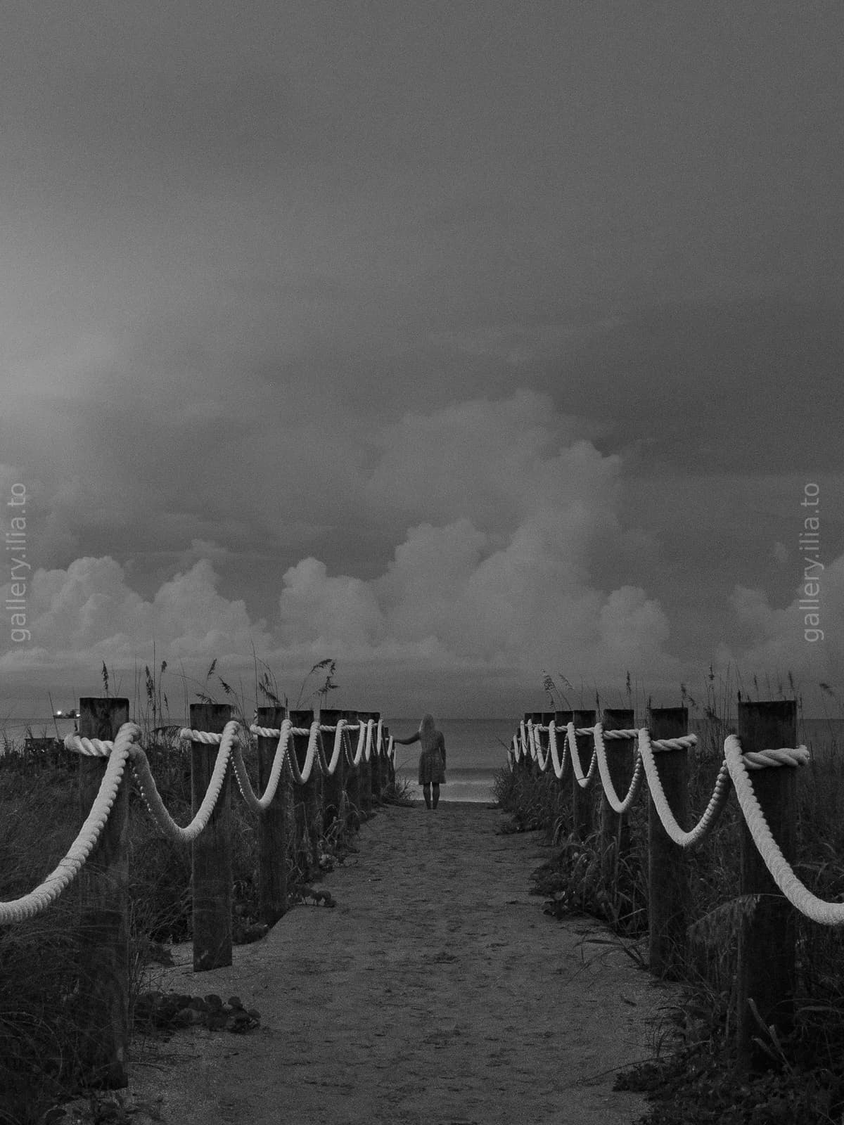 Path to the Sea
