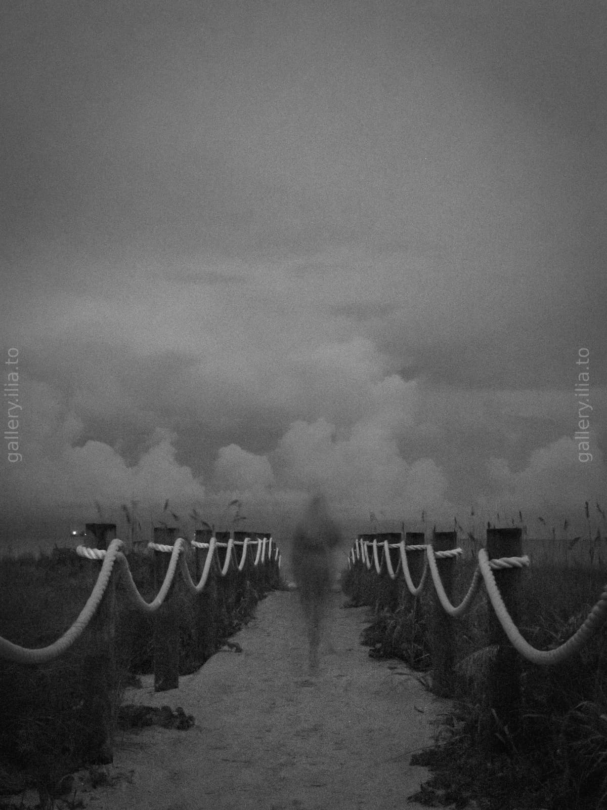 Into the Sea Mist