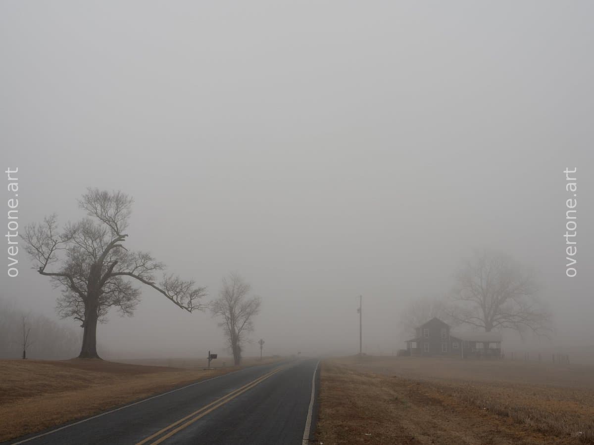 A straight asphalt road with yellow center lines disappears into dense fog, flanked by a large bare tree on the left and sparse leafless trees on the right, with barren fields and a faintly visible building in the distance. - Place to Pause
