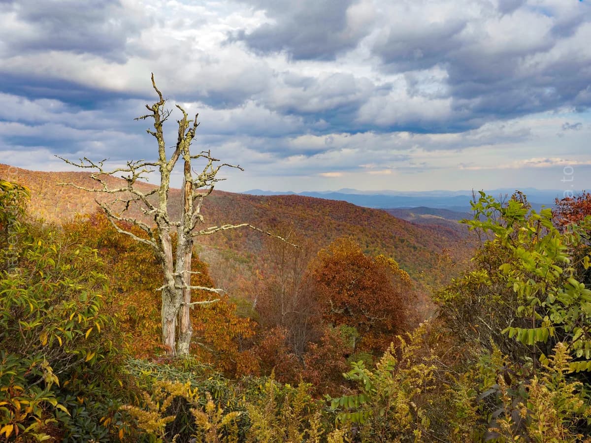 Blue Ridge Autumn