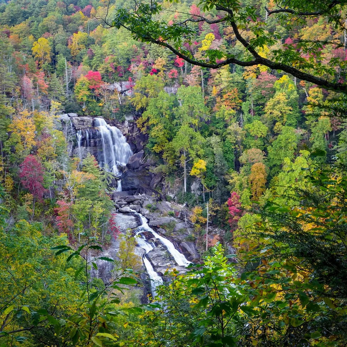 Whitewater in Fall