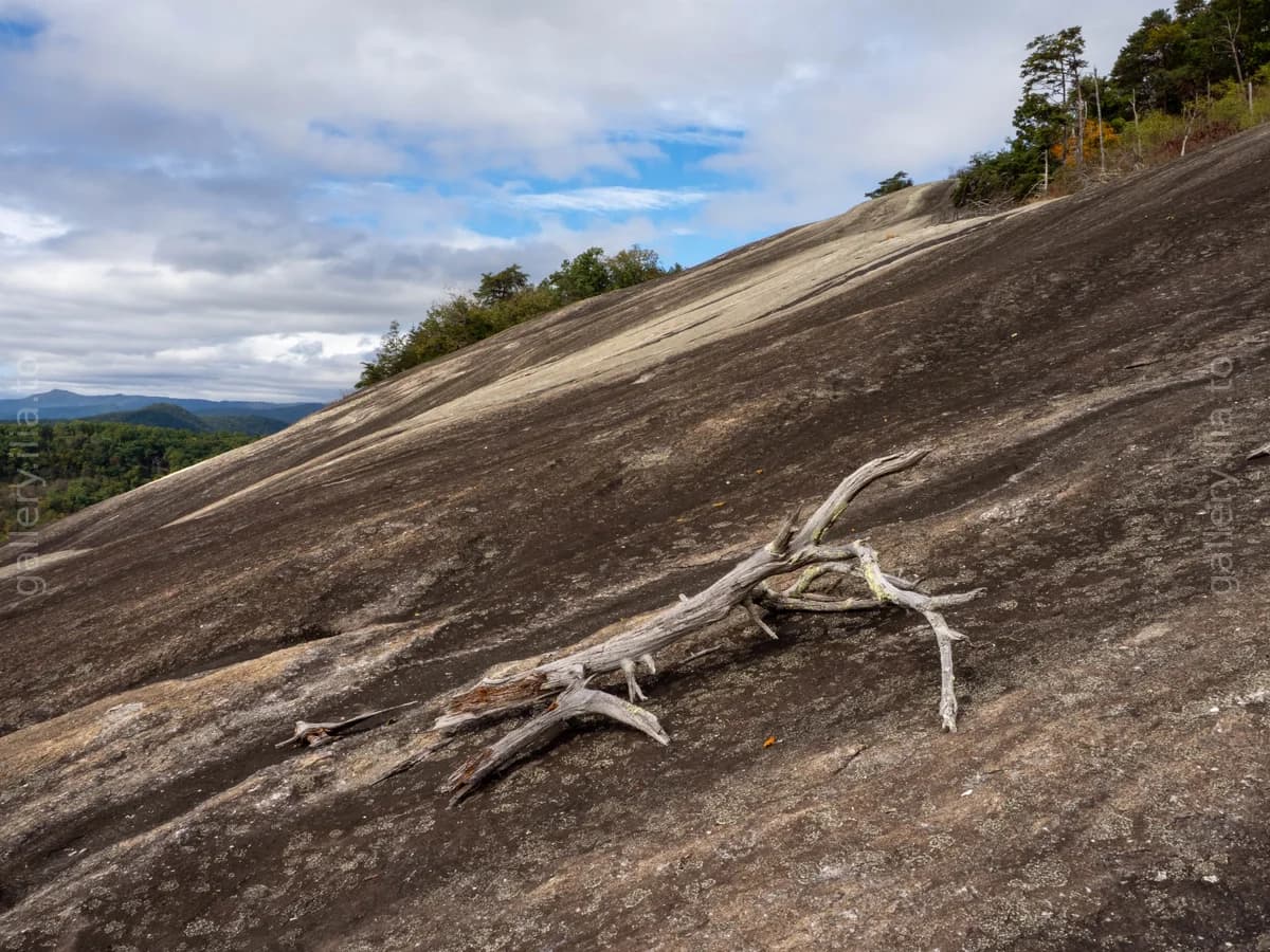 On the Granite Dome