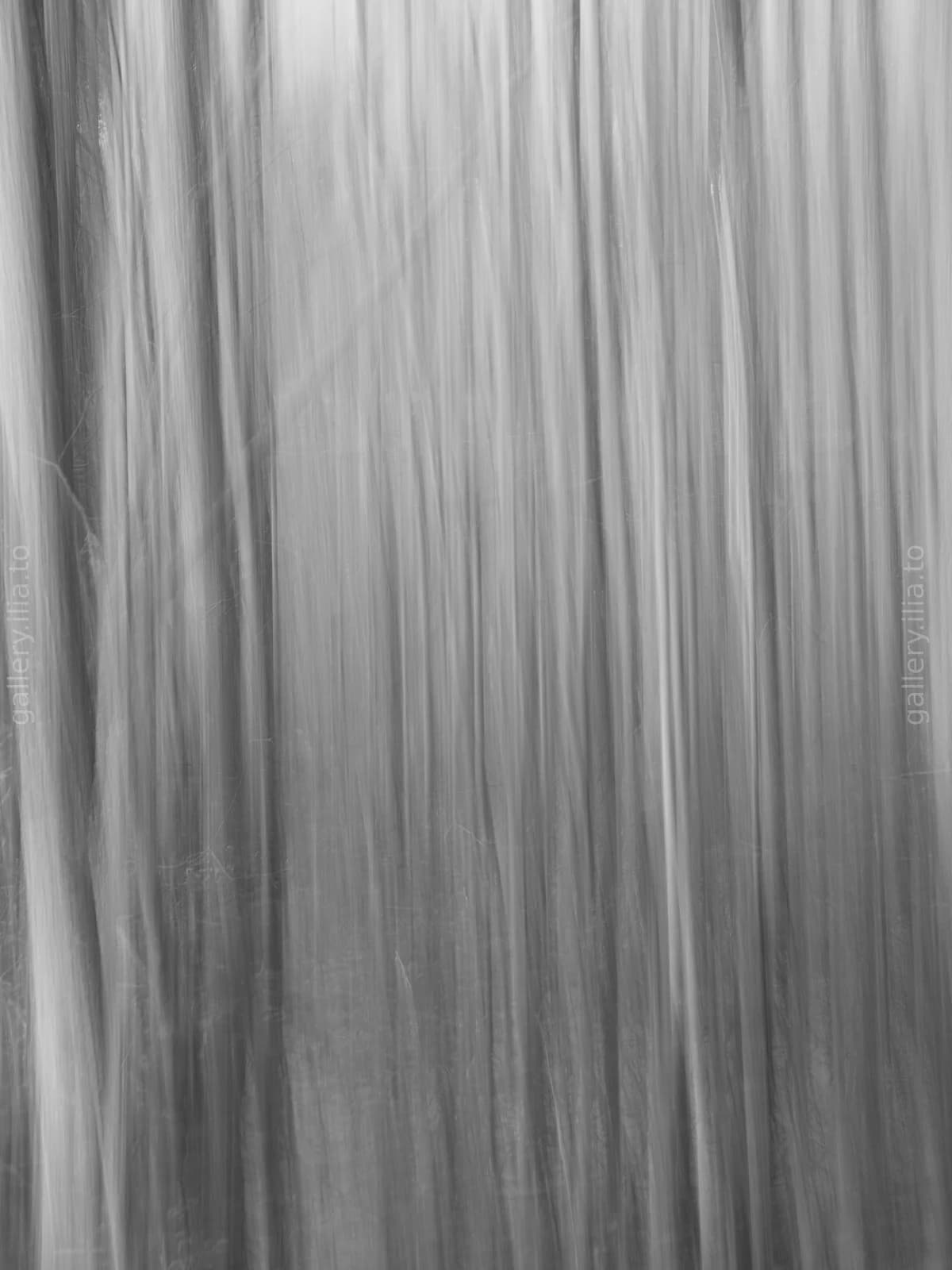 Going Somewhere Fast II / BW
