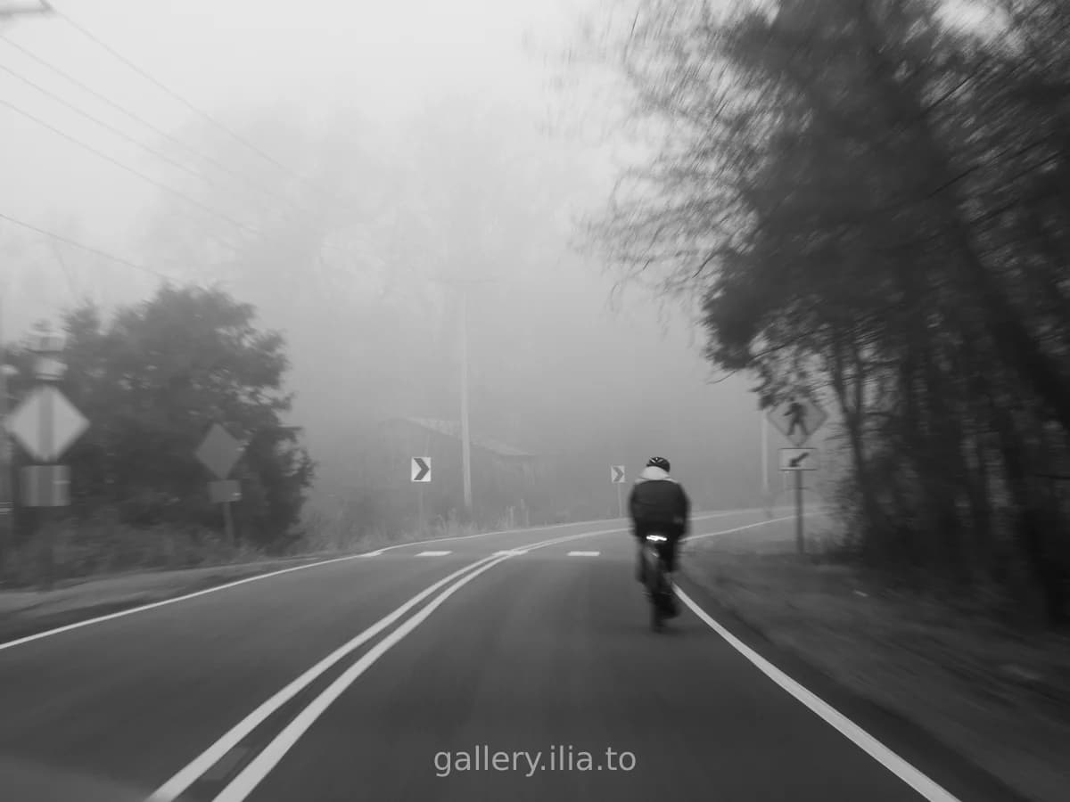 Foggy Road Rider