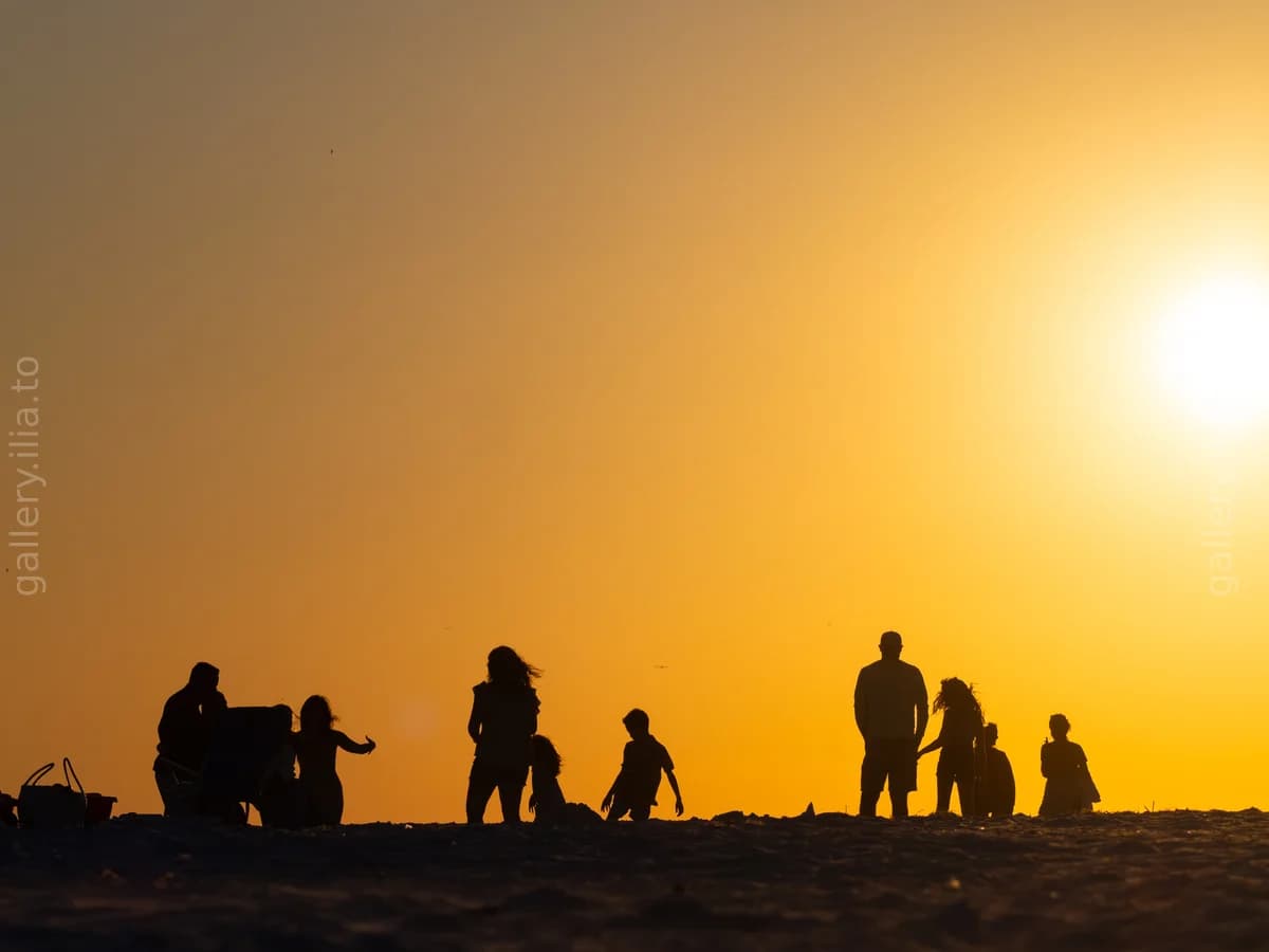 Golden Hour Silhouettes III
