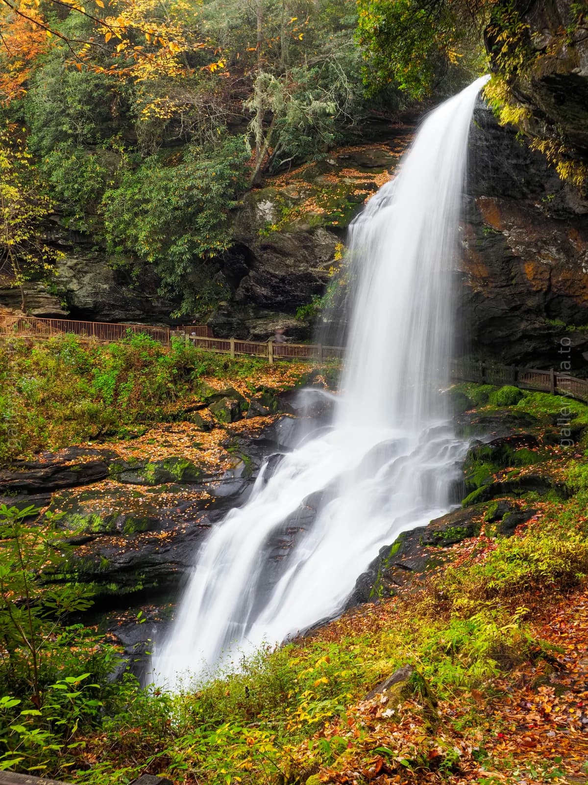 Autumn Cascade