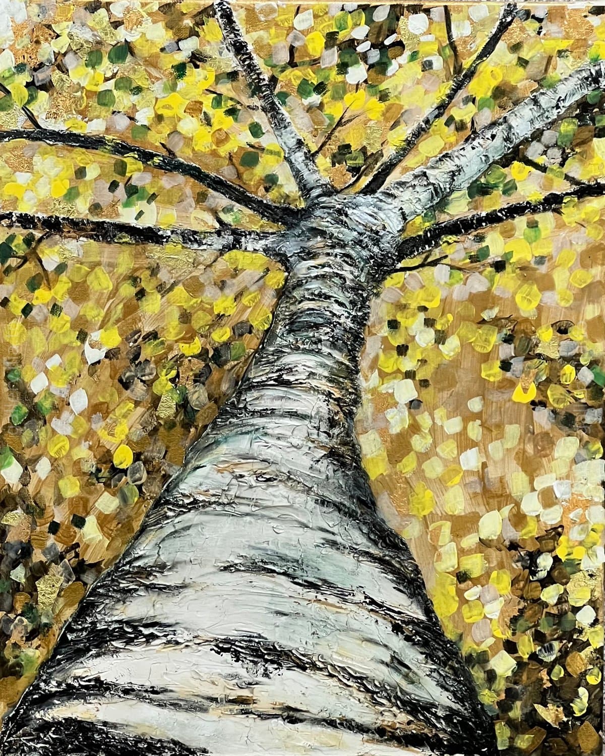 Looking Up the Birch