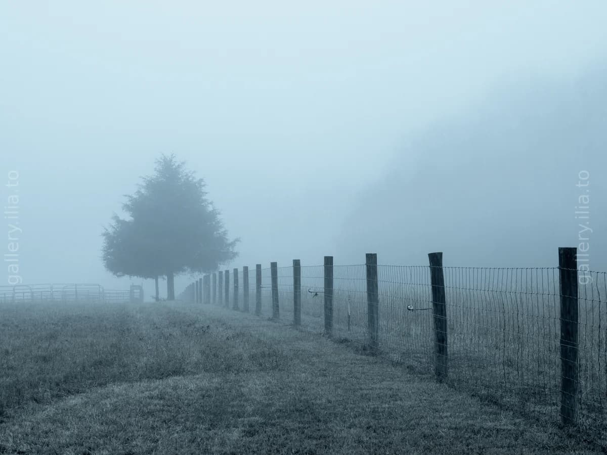 Where the fog takes over