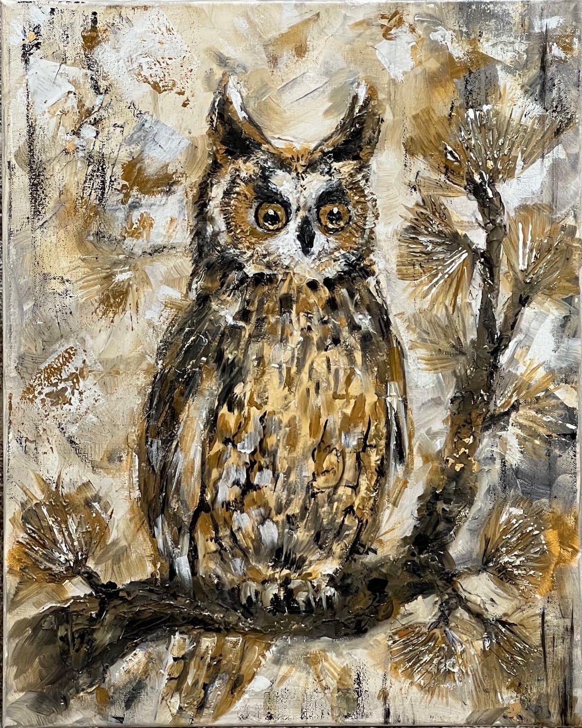 Long-Eared Owl