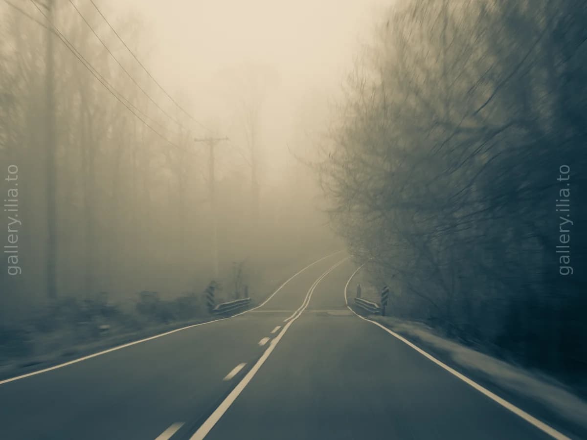 Into the Fog