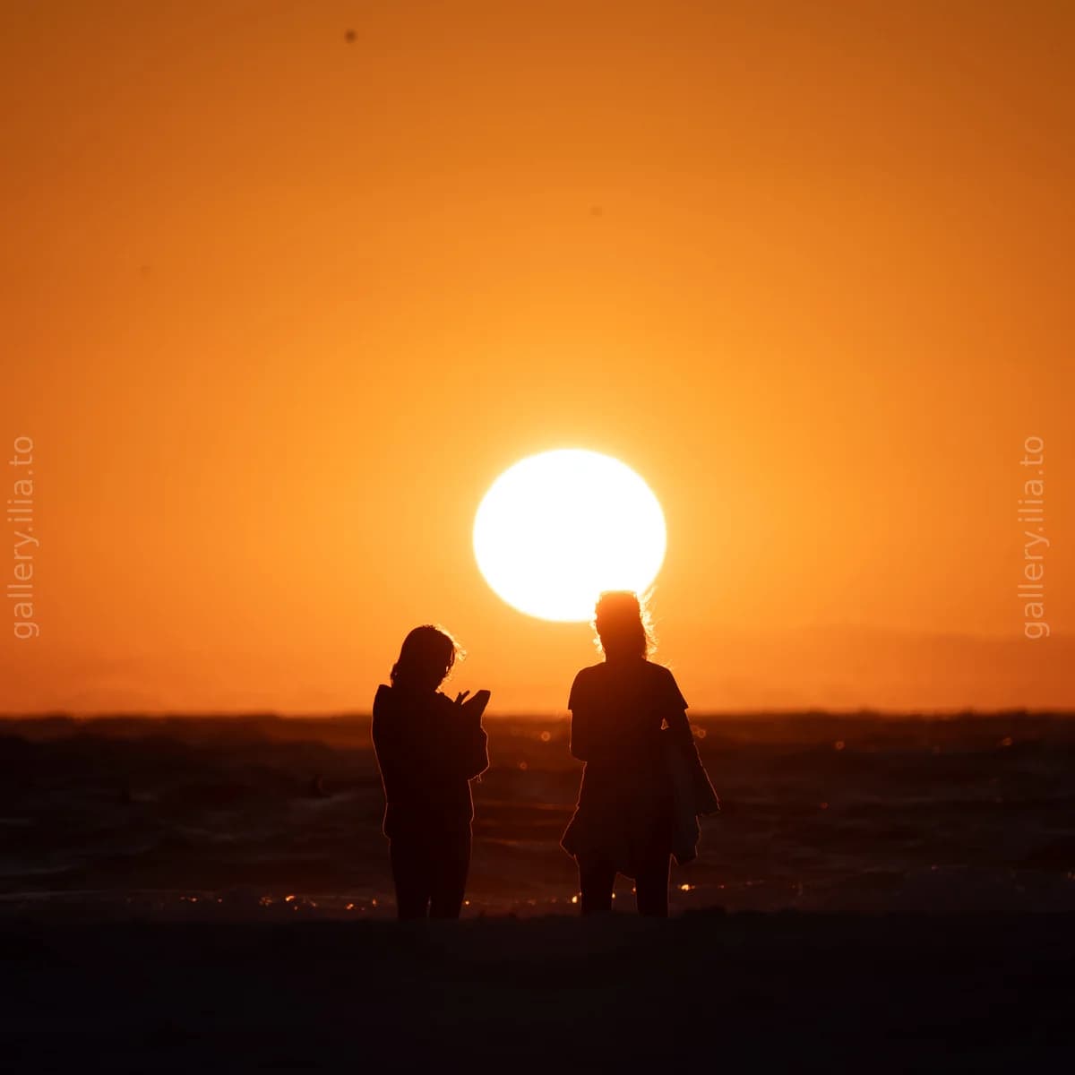 Golden Hour Silhouettes II
