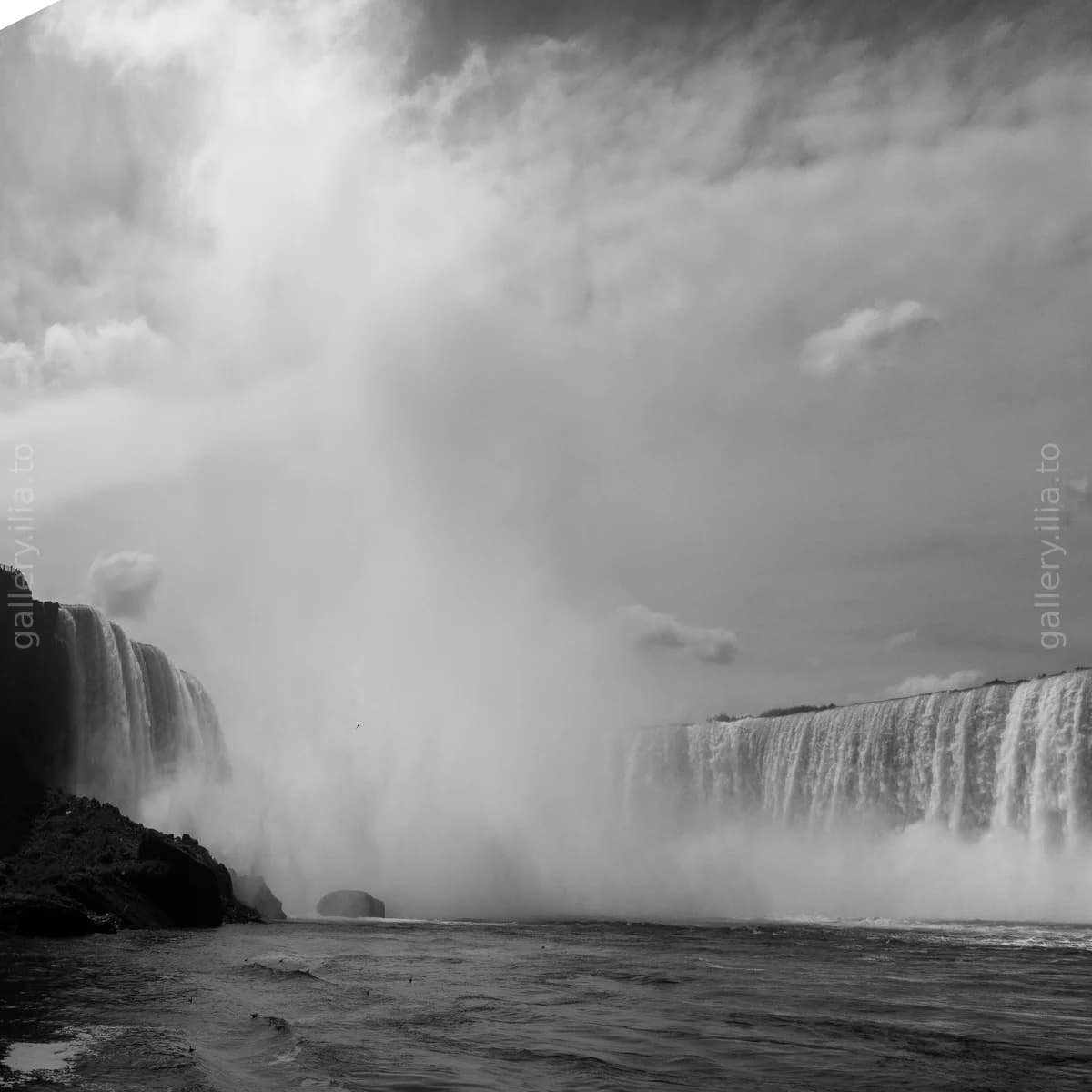 Swallowed by the Mist