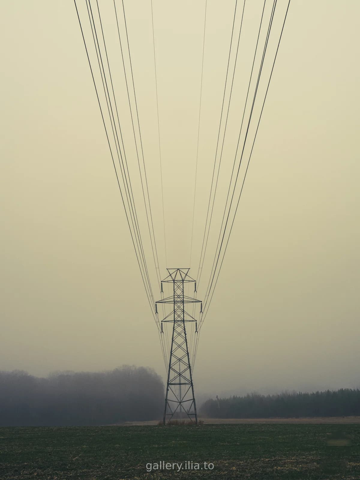 Power Lines in Fog
