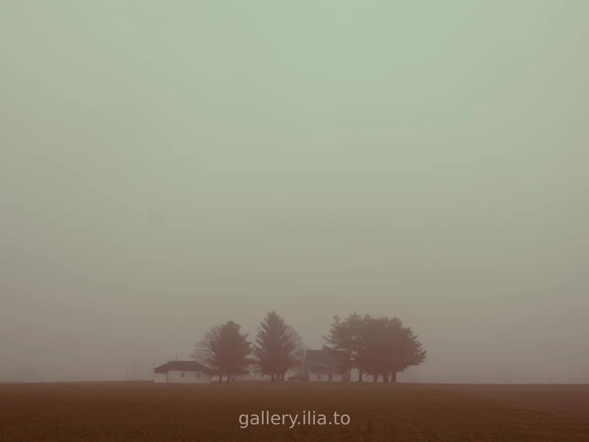 Farm in the Fog