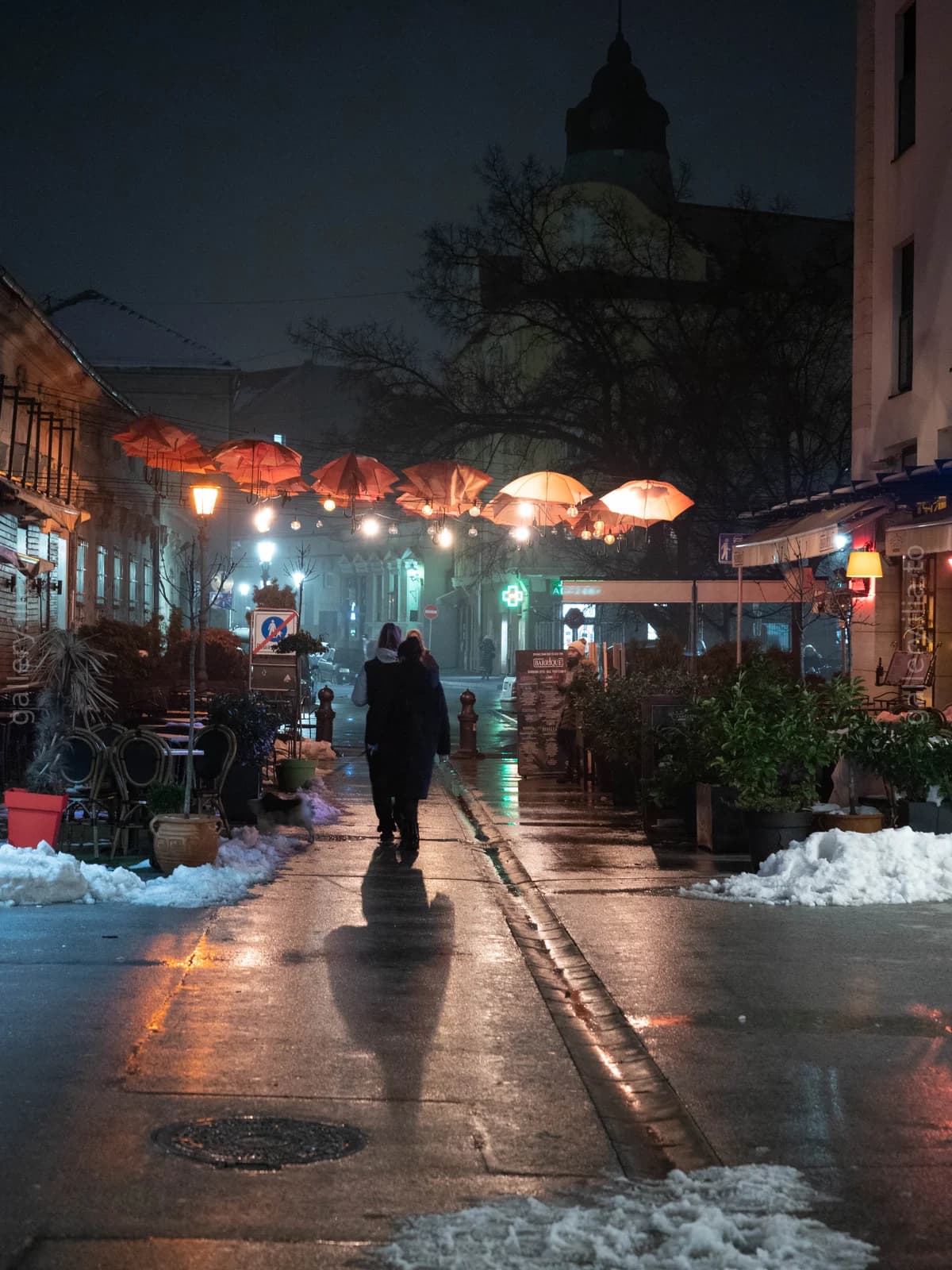 Rainy Night Umbrellas