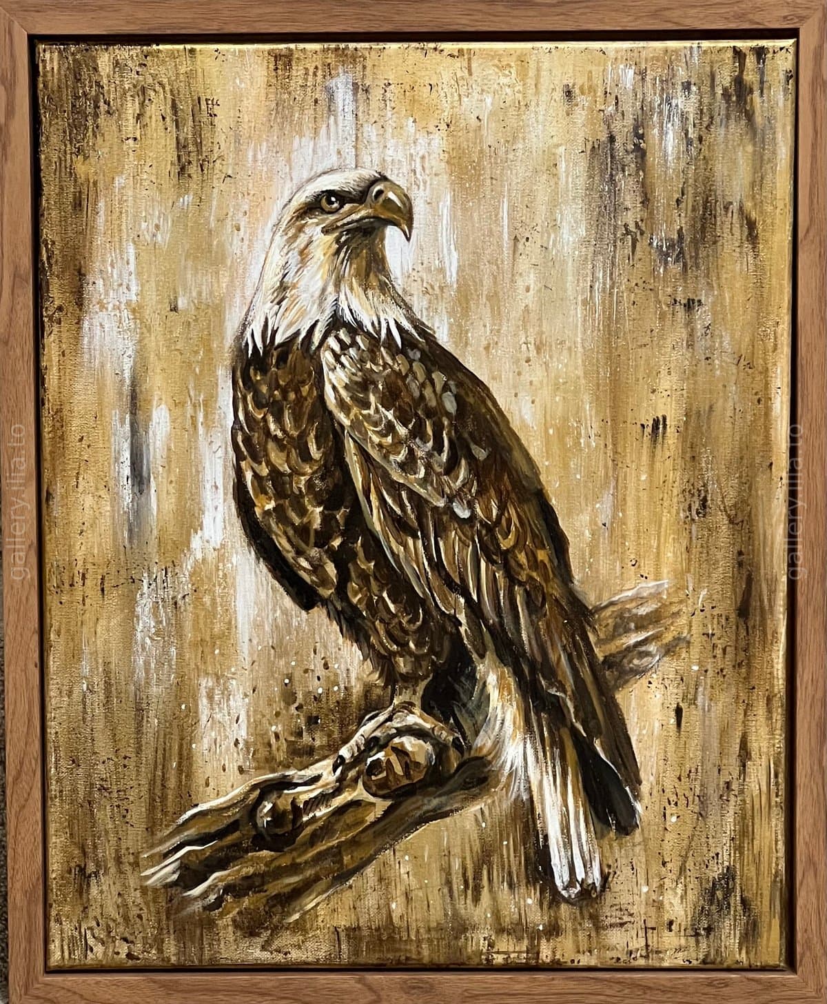 Guardian of the Heights. Bald eagle.