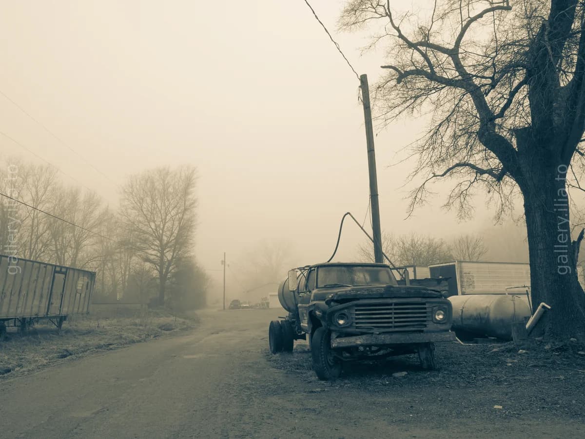 Swallowed by the Fog