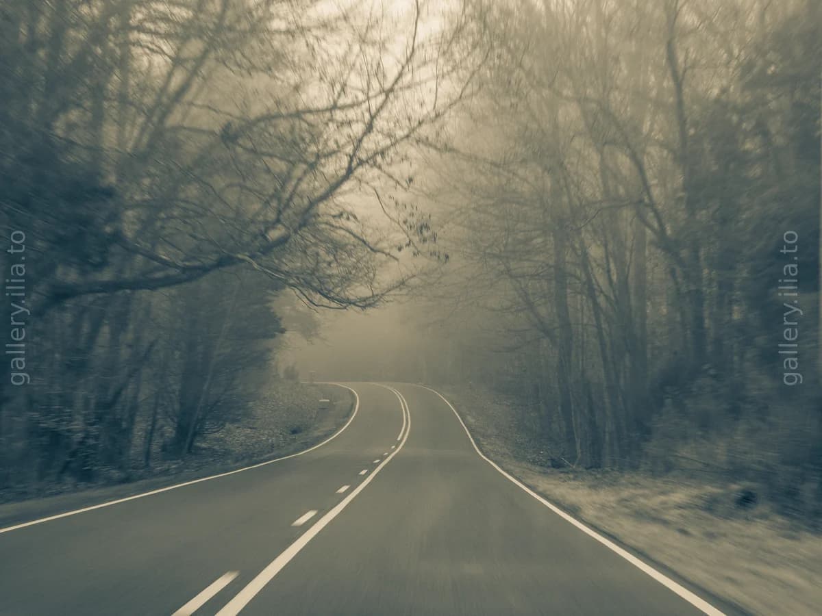 Where the Road Disappears