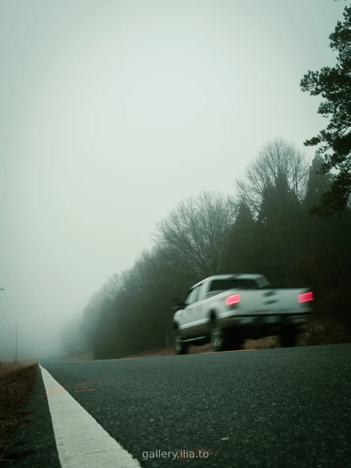 Foggy Road Encounter