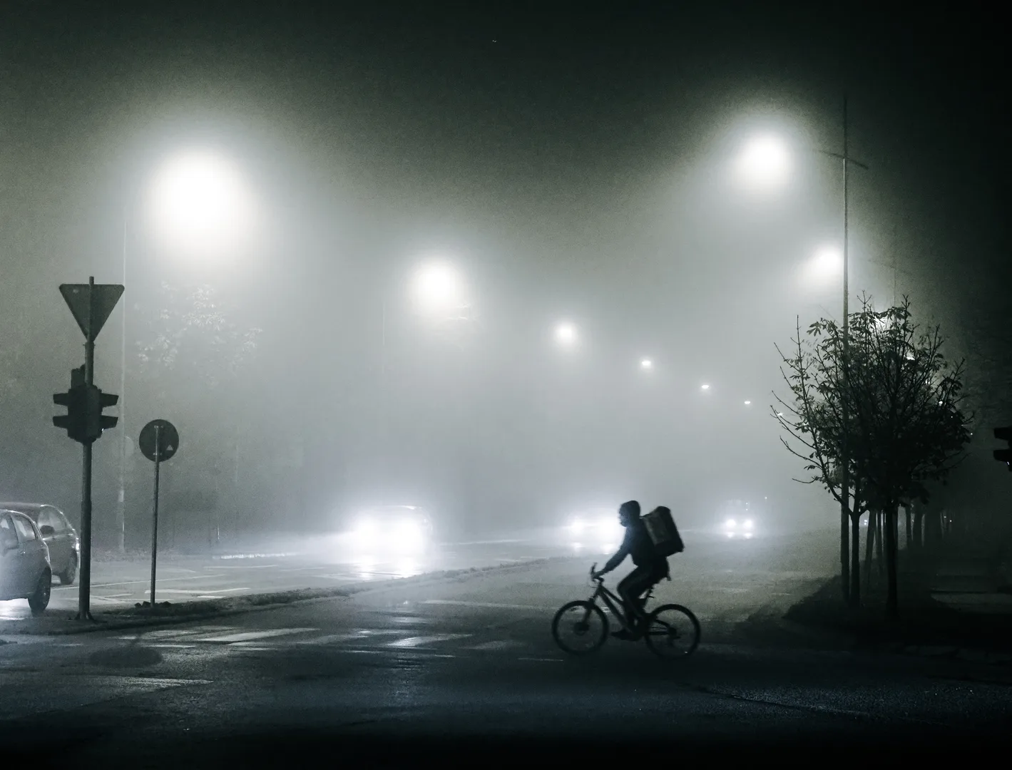 Ilia Dzhiubanskii — Photographer